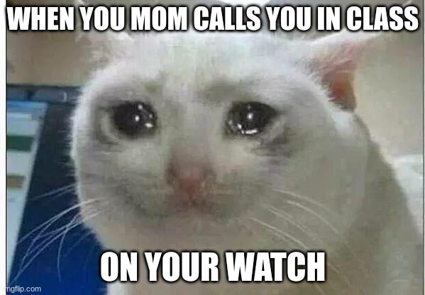 Image Title | WHEN YOU MOM CALLS YOU IN CLASS; ON YOUR WATCH | image tagged in crying cat,gifs,oh wow are you actually reading these tags | made w/ Imgflip meme maker