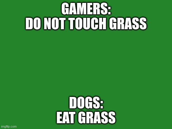 How to use grass | GAMERS:
DO NOT TOUCH GRASS; DOGS:
EAT GRASS | image tagged in touch grass | made w/ Imgflip meme maker