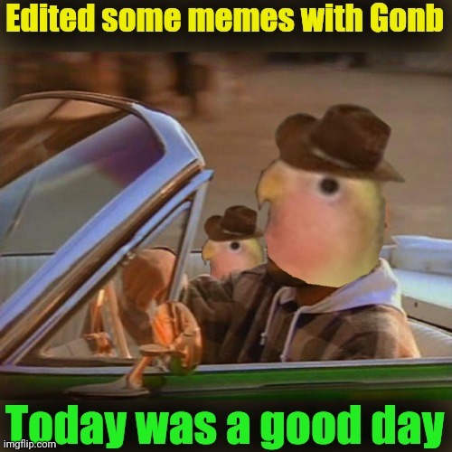 Gonb rides again | image tagged in today was a good day,gonb,rides again,shotgun,not it | made w/ Imgflip meme maker