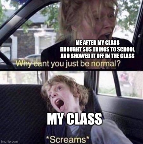 Don't ask what it was | ME AFTER MY CLASS BROUGHT SUS THINGS TO SCHOOL AND SHOWED IT OFF IN THE CLASS; MY CLASS | image tagged in why can't you just be normal,memes | made w/ Imgflip meme maker