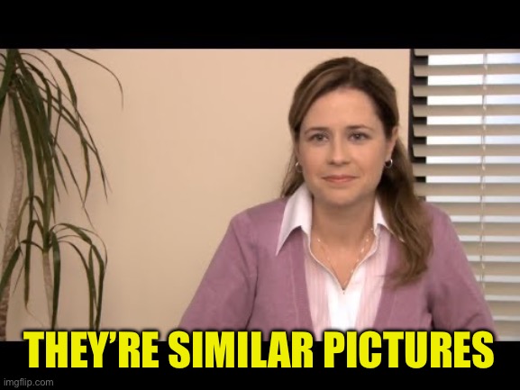 They're the same picture | THEY’RE SIMILAR PICTURES | image tagged in they're the same picture | made w/ Imgflip meme maker