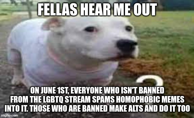 we ride at sunrise | FELLAS HEAR ME OUT; ON JUNE 1ST, EVERYONE WHO ISN'T BANNED FROM THE LGBTQ STREAM SPAMS HOMOPHOBIC MEMES INTO IT. THOSE WHO ARE BANNED MAKE ALTS AND DO IT TOO | image tagged in dog question mark | made w/ Imgflip meme maker
