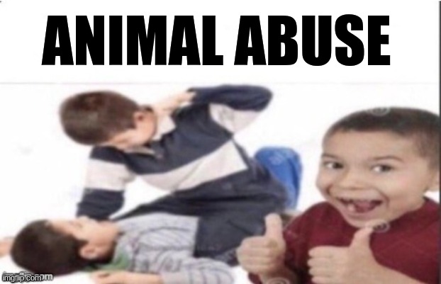first degree murder | ANIMAL ABUSE | image tagged in first degree murder | made w/ Imgflip meme maker
