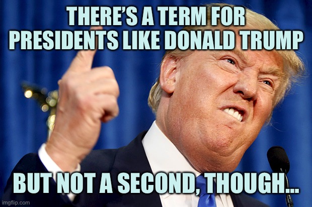DT | THERE’S A TERM FOR PRESIDENTS LIKE DONALD TRUMP; BUT NOT A SECOND, THOUGH… | image tagged in donald trump,memes | made w/ Imgflip meme maker