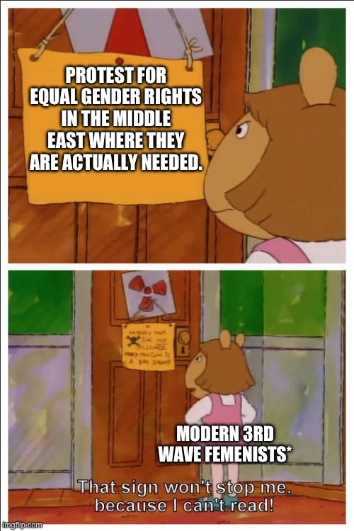 This sign won't stop me, because i cant read | PROTEST FOR EQUAL GENDER RIGHTS IN THE MIDDLE EAST WHERE THEY ARE ACTUALLY NEEDED. MODERN 3RD WAVE FEMENISTS* | image tagged in this sign won't stop me because i cant read | made w/ Imgflip meme maker