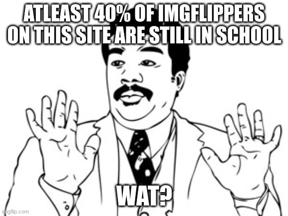Neil deGrasse Tyson | ATLEAST 40% OF IMGFLIPPERS ON THIS SITE ARE STILL IN SCHOOL; WAT? | image tagged in memes,neil degrasse tyson | made w/ Imgflip meme maker