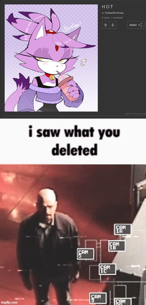image tagged in i saw what you deleted | made w/ Imgflip meme maker