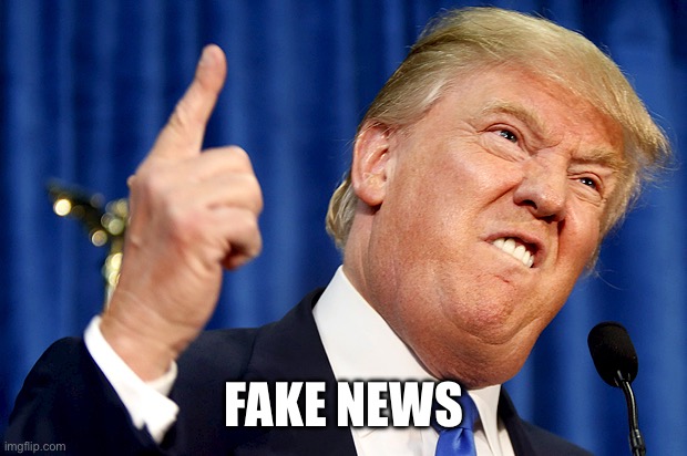 FAKE NEWS | image tagged in donald trump | made w/ Imgflip meme maker