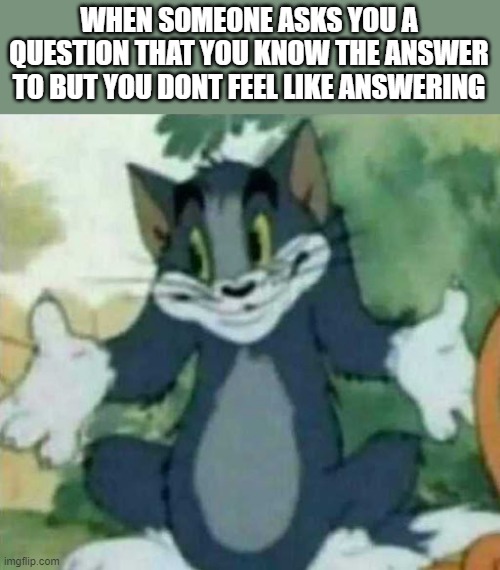 i dunno... | WHEN SOMEONE ASKS YOU A QUESTION THAT YOU KNOW THE ANSWER TO BUT YOU DONT FEEL LIKE ANSWERING | image tagged in tom i dont know meme,idk,i dont know,what,bro,i have no idea | made w/ Imgflip meme maker