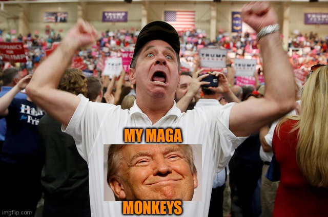 Trump Supporter Triggered | MY MAGA MONKEYS | image tagged in trump supporter triggered | made w/ Imgflip meme maker