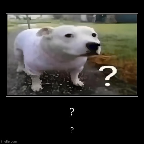 ? | ? | ? | made w/ Imgflip demotivational maker