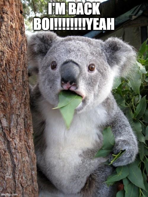 Surprised Koala | I'M BACK BOI!!!!!!!!YEAH | image tagged in memes,surprised koala | made w/ Imgflip meme maker