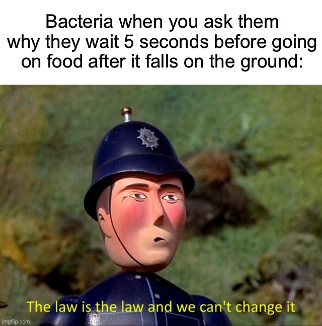 It’s the law! | Bacteria when you ask them why they wait 5 seconds before going on food after it falls on the ground: | image tagged in the law is the law and we can't change it,memes,funny,funny memes,bacteria,food | made w/ Imgflip meme maker
