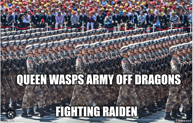 army troops marching | QUEEN WASPS ARMY OFF DRAGONS FIGHTING RAIDEN | image tagged in army troops marching | made w/ Imgflip meme maker