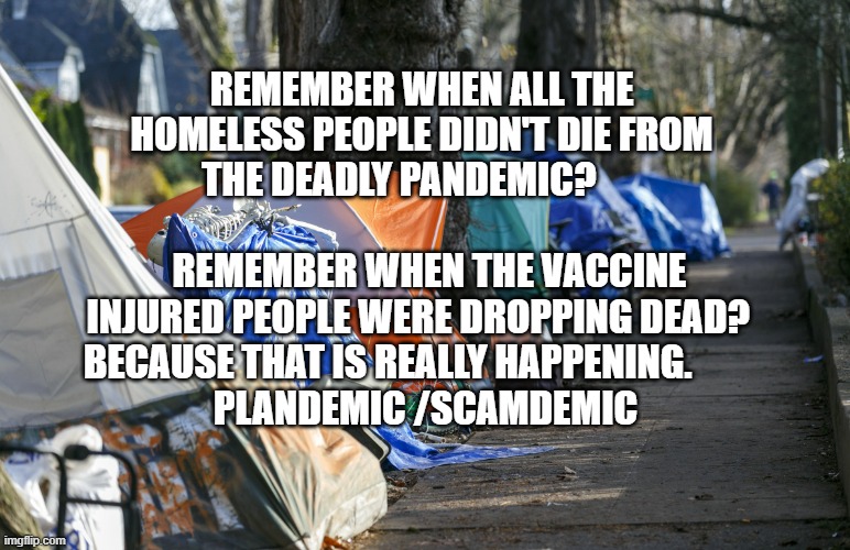 Homeless | REMEMBER WHEN ALL THE HOMELESS PEOPLE DIDN'T DIE FROM THE DEADLY PANDEMIC?      
                                         REMEMBER WHEN THE VACCINE INJURED PEOPLE WERE DROPPING DEAD?      BECAUSE THAT IS REALLY HAPPENING.             
  PLANDEMIC /SCAMDEMIC | image tagged in homeless | made w/ Imgflip meme maker