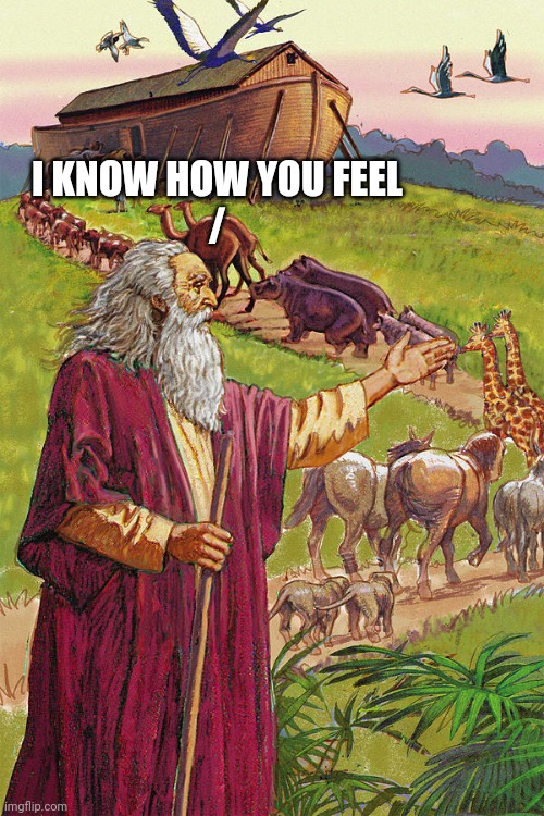 Ain’t No Way God Told Noah To Put Two X On The Ark | I KNOW HOW YOU FEEL
/ | image tagged in ain t no way god told noah to put two x on the ark | made w/ Imgflip meme maker