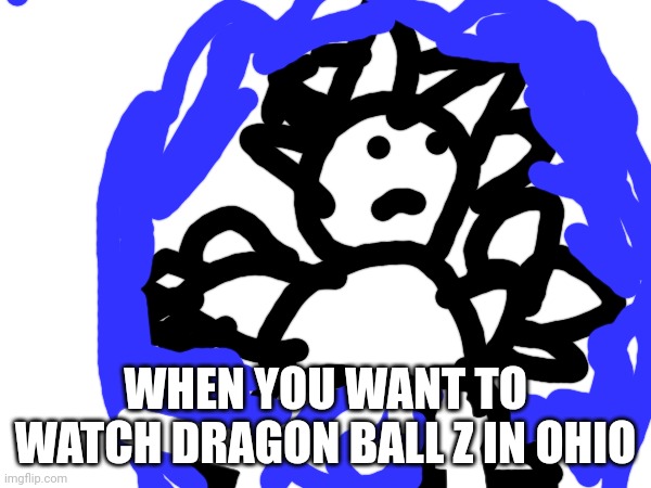 WHEN YOU WANT TO WATCH DRAGON BALL Z IN OHIO | made w/ Imgflip meme maker