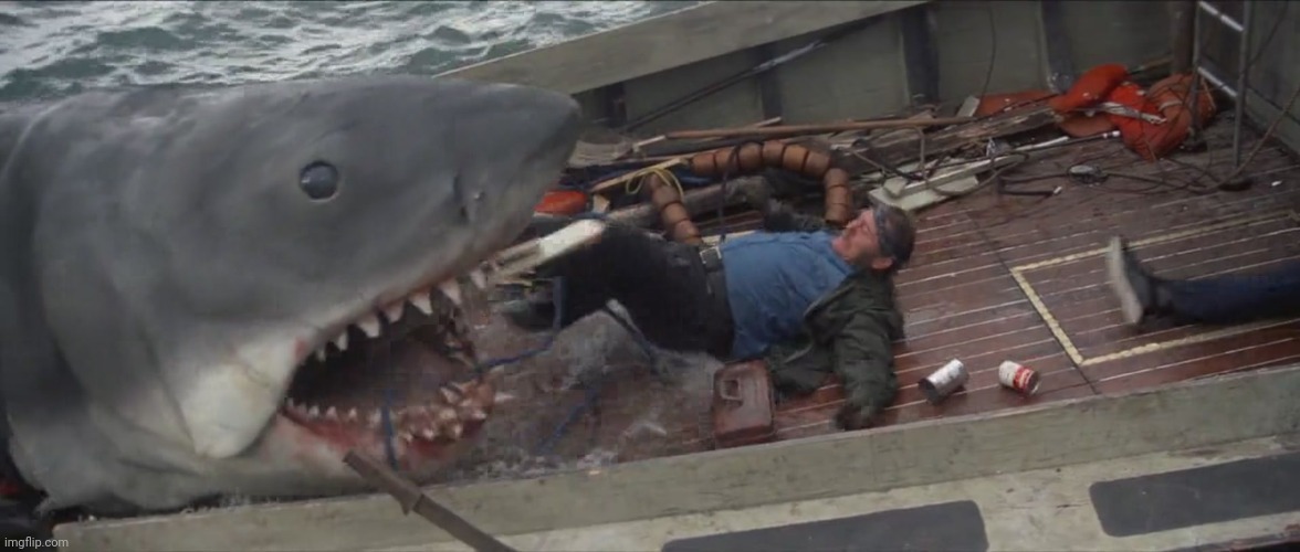 jaws quint | image tagged in jaws quint | made w/ Imgflip meme maker