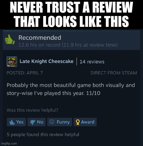 Nothing about how the game plays | NEVER TRUST A REVIEW THAT LOOKS LIKE THIS | made w/ Imgflip meme maker