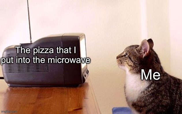 Waits patiently | image tagged in microwave,pizza,cats | made w/ Imgflip meme maker