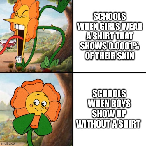 A boy took off his shirt in math today…… | SCHOOLS WHEN GIRLS WEAR A SHIRT THAT SHOWS 0.0001% OF THEIR SKIN; SCHOOLS WHEN BOYS SHOW UP WITHOUT A SHIRT | image tagged in angry flower,school | made w/ Imgflip meme maker