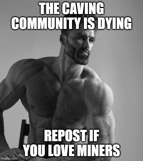 sitting giga chad | THE CAVING COMMUNITY IS DYING; REPOST IF YOU LOVE MINERS | image tagged in sitting giga chad | made w/ Imgflip meme maker