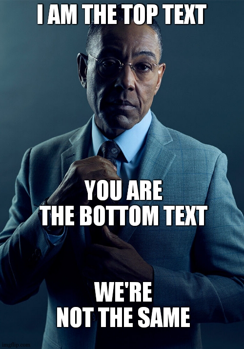 definitly not the same | I AM THE TOP TEXT; YOU ARE THE BOTTOM TEXT; WE'RE NOT THE SAME | image tagged in gus fring we are not the same,bottom text,funny,meme,different | made w/ Imgflip meme maker