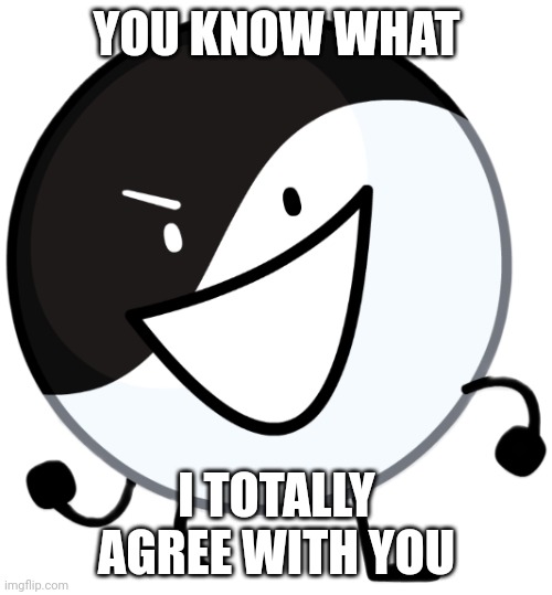 Yin yang | YOU KNOW WHAT I TOTALLY AGREE WITH YOU | image tagged in yin yang | made w/ Imgflip meme maker