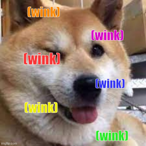 winky doggy can't stop winking! | (wink); (wink); (wink); (wink); (wink); (wink) | image tagged in winky doggy | made w/ Imgflip meme maker