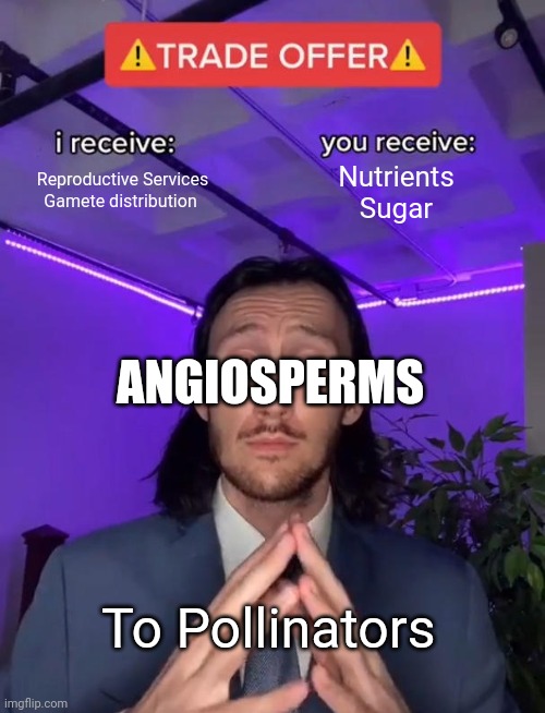 Trade Offer | Reproductive Services
Gamete distribution; Nutrients
Sugar; ANGIOSPERMS; To Pollinators | image tagged in trade offer | made w/ Imgflip meme maker