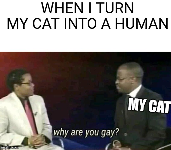 WHEN I TURN MY CAT INTO A HUMAN; MY CAT | image tagged in blank white template,why are you gay | made w/ Imgflip meme maker