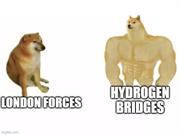 Chemistry | HYDROGEN BRIDGES; LONDON FORCES | image tagged in buff doge vs cheems reversed,chemistry | made w/ Imgflip meme maker