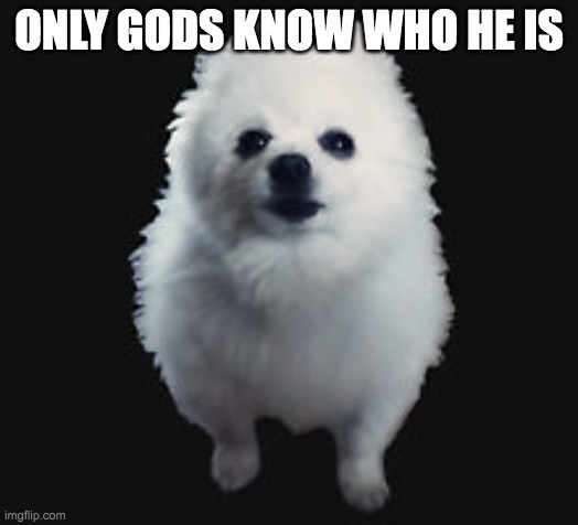 :( | ONLY GODS KNOW WHO HE IS | image tagged in gabe the dog | made w/ Imgflip meme maker