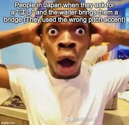 Shocked black guy | People in Japan when they ask for a "はし" and the waiter brings them a bridge (They used the wrong pitch accent) | image tagged in shocked black guy | made w/ Imgflip meme maker