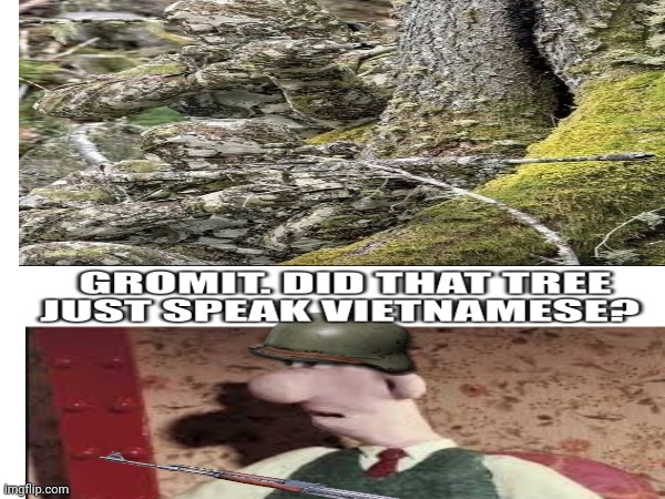 Did that tree just speak Vietnamese | image tagged in wallace and gromit | made w/ Imgflip meme maker