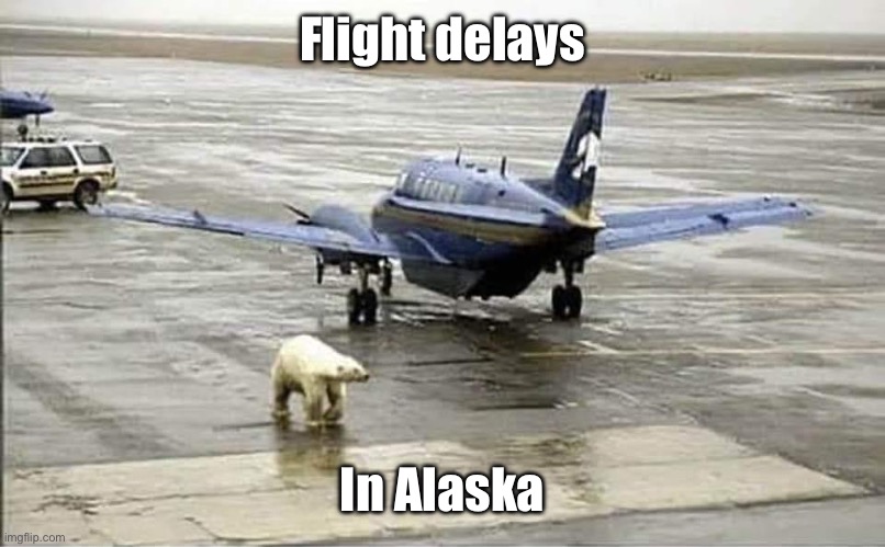Alaskan airport | Flight delays; In Alaska | image tagged in alaska,plane,polar bear | made w/ Imgflip meme maker