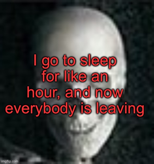 This is what I get for sleeping | I go to sleep for like an hour, and now everybody is leaving | image tagged in skull | made w/ Imgflip meme maker