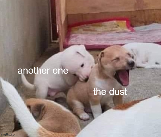 Hey, I'm gonna get you too... | another one; the dust | image tagged in another one bites the dust,doggos,memes | made w/ Imgflip meme maker