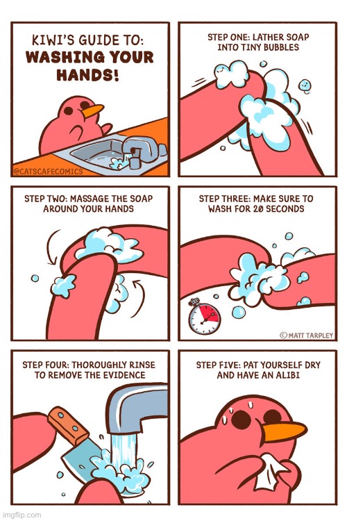 Kiwi’s guide to washing your hands | image tagged in kiwi,knife | made w/ Imgflip meme maker