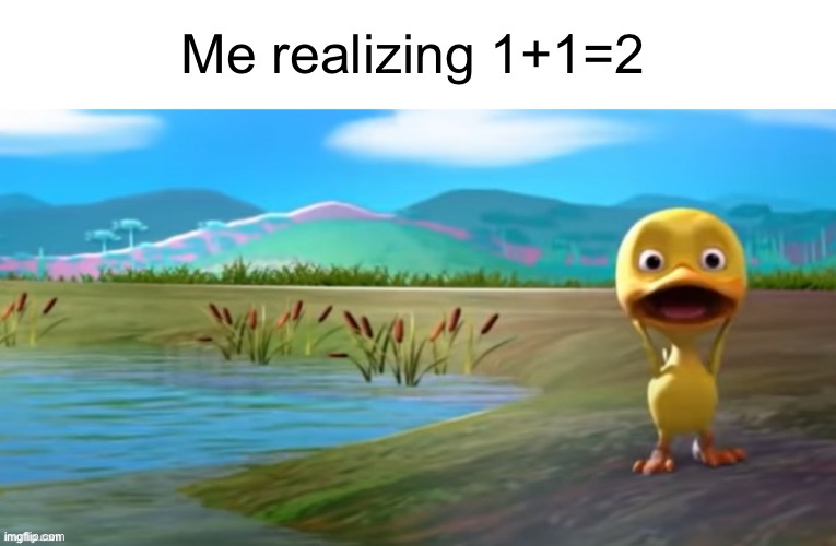 Duck flabbergasted | Me realizing 1+1=2 | image tagged in duck flabbergasted | made w/ Imgflip meme maker