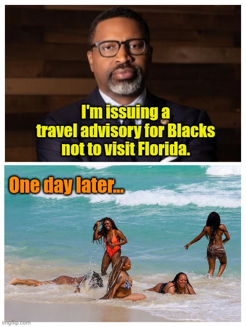 The intelligent people have thrown their race cards away. | I'm issuing a travel advisory for Blacks not to visit Florida. One day later... | made w/ Imgflip meme maker