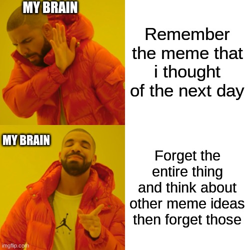 Drake Hotline Bling Meme | Remember the meme that i thought of the next day Forget the entire thing and think about other meme ideas then forget those MY BRAIN MY BRAI | image tagged in memes,drake hotline bling | made w/ Imgflip meme maker