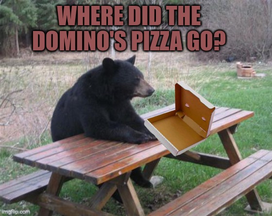 Bad Luck Bear Meme | WHERE DID THE DOMINO'S PIZZA GO? | image tagged in memes,bad luck bear,bear,facts | made w/ Imgflip meme maker