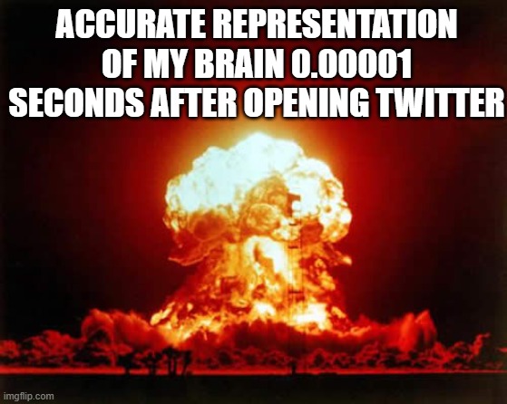 Gone. Reduced to atoms. | ACCURATE REPRESENTATION OF MY BRAIN 0.00001 SECONDS AFTER OPENING TWITTER | image tagged in memes,nuclear explosion,twitter,funny,relatable | made w/ Imgflip meme maker