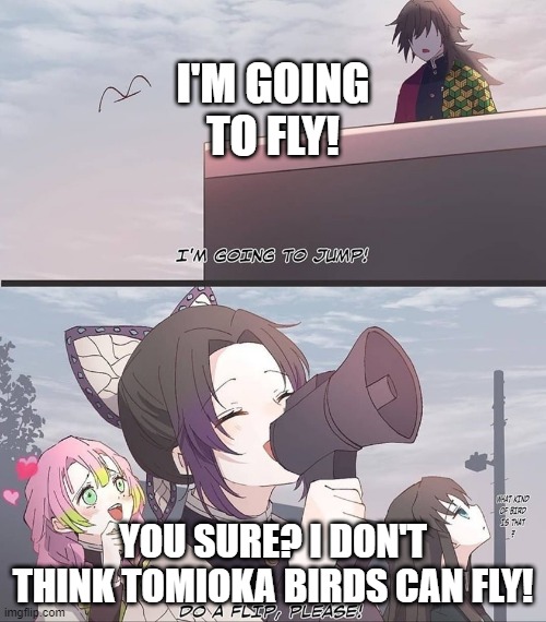 im going to fly today | I'M GOING TO FLY! YOU SURE? I DON'T THINK TOMIOKA BIRDS CAN FLY! | image tagged in do a flip please | made w/ Imgflip meme maker