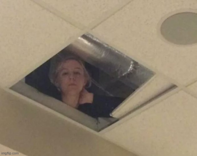 Teacher in ceiling | image tagged in teacher in ceiling | made w/ Imgflip meme maker