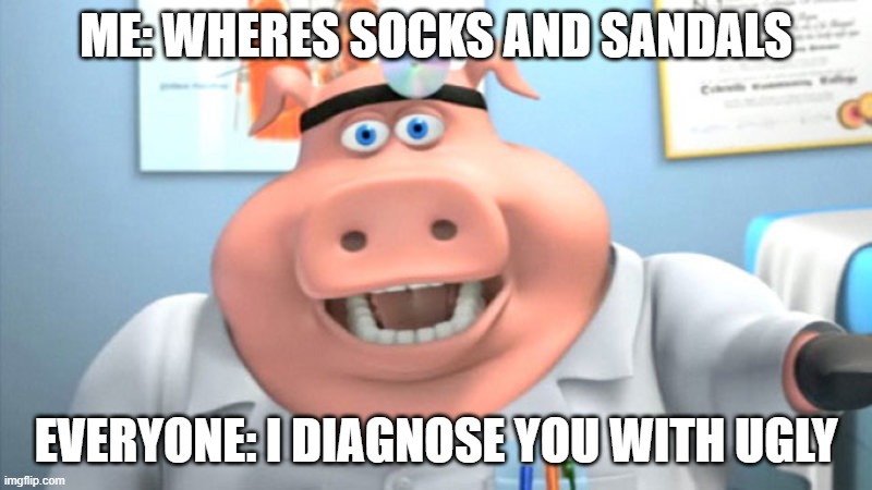I Diagnose You With Dead | ME: WHERES SOCKS AND SANDALS; EVERYONE: I DIAGNOSE YOU WITH UGLY | image tagged in i diagnose you with dead | made w/ Imgflip meme maker