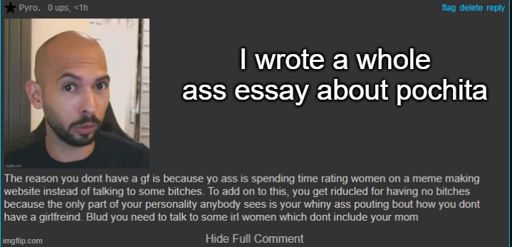 I wrote a whole ass essay about pochita | made w/ Imgflip meme maker