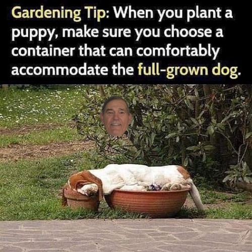wholesome meme | made w/ Imgflip meme maker