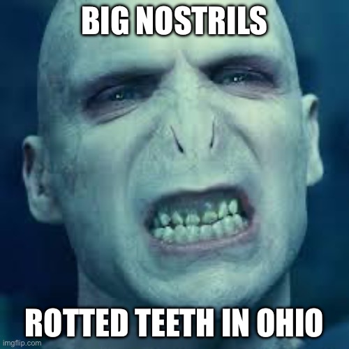 Voldemort | BIG NOSTRILS; ROTTED TEETH IN OHIO | image tagged in voldemort | made w/ Imgflip meme maker